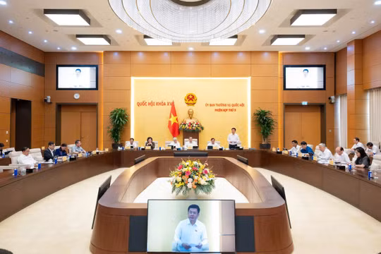 Đề xuất cơ chế đặc thù tạm hoãn truy cứu trách nhiệm hình sự 