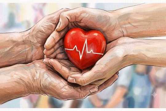 Bộ Y tế đề xuất người dưới 18 tuổi được hiến mô, hiến tạng