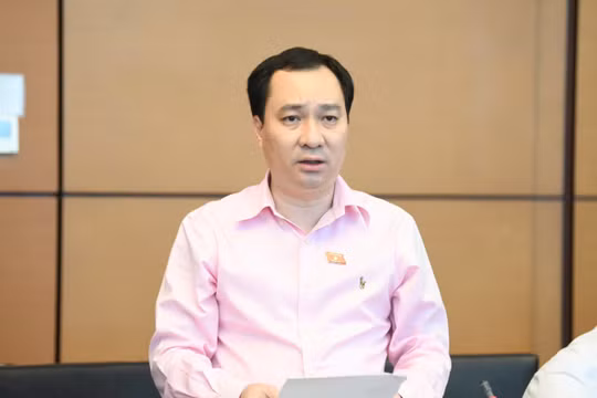 Đại biểu Quốc hội: Chuyển quản lý giống cây trồng, không để doanh nghiệp thêm thủ tục