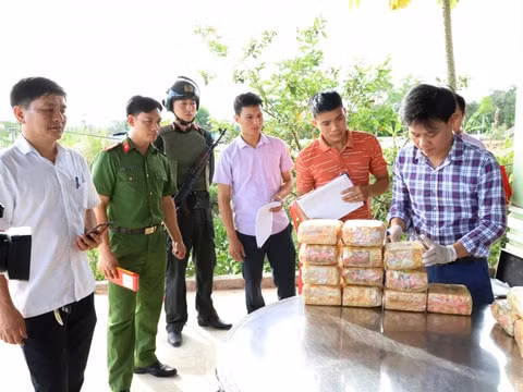 Lực lượng chức năng kiểm kê tang vật là 31 kg ma túy đá. Ảnh: TL.
