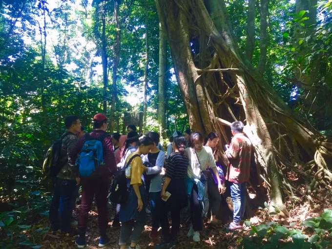 Chưa bao giờ sự đa dạng sinh học, hệ sinh thái trên toàn cầu bị suy thoái với tốc độ nghiêm trọng như hiện nay. Ảnh: Bảo Ngân