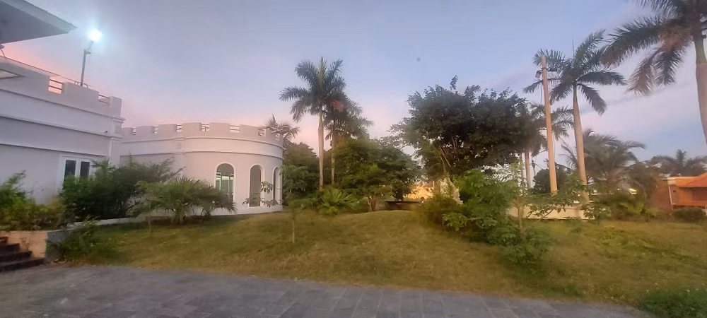 726962994-980126464651374-3066899712925051446-n.jpg