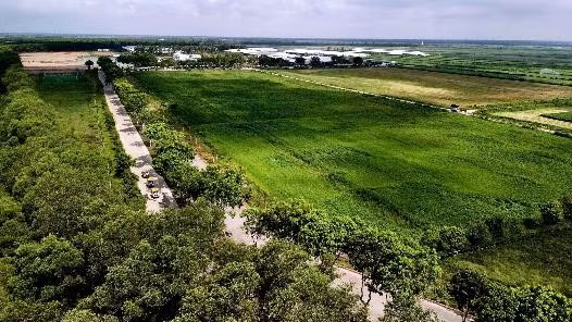 Đặt nền móng cho ngành chăn nuôi bò sữa Việt Nam, Vinamilk hiện sở hữu hệ thống 15 trang trại đạt chuẩn Global S.L.P với năng lực cung ứng khoảng 1,1 triệu lít sữa tươi/ngày.