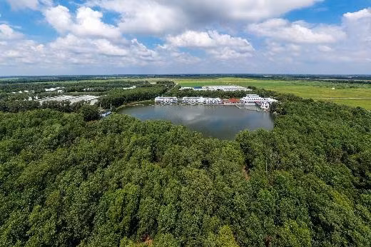 Đặt nền móng cho ngành chăn nuôi bò sữa Việt Nam, Vinamilk hiện sở hữu hệ thống 15 trang trại đạt chuẩn Global S.L.P với năng lực cung ứng khoảng 1,1 triệu lít sữa tươi/ngày.