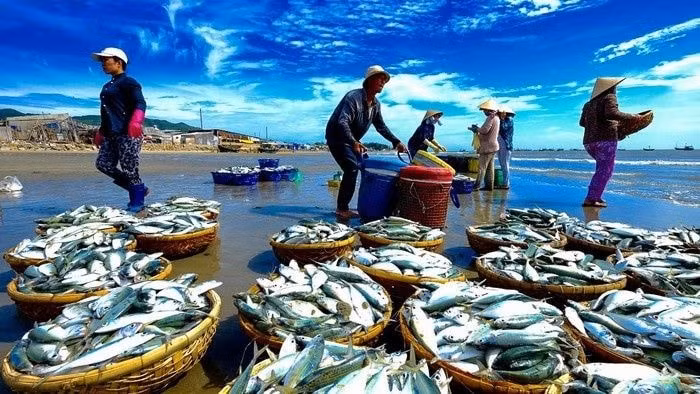 co hoi cho hang hoa viet nam xuat khau sang singapore hinh 2