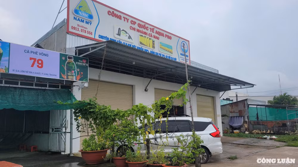 Kho chứa hoá chất của Công ty Nam Mỹ lại là địa chỉ kinh doanh của Công ty CP Quốc tế Aqua Pro - chi nhánh Cà Mau. Kho khí này nằm ngay cạnh khu dân cư.