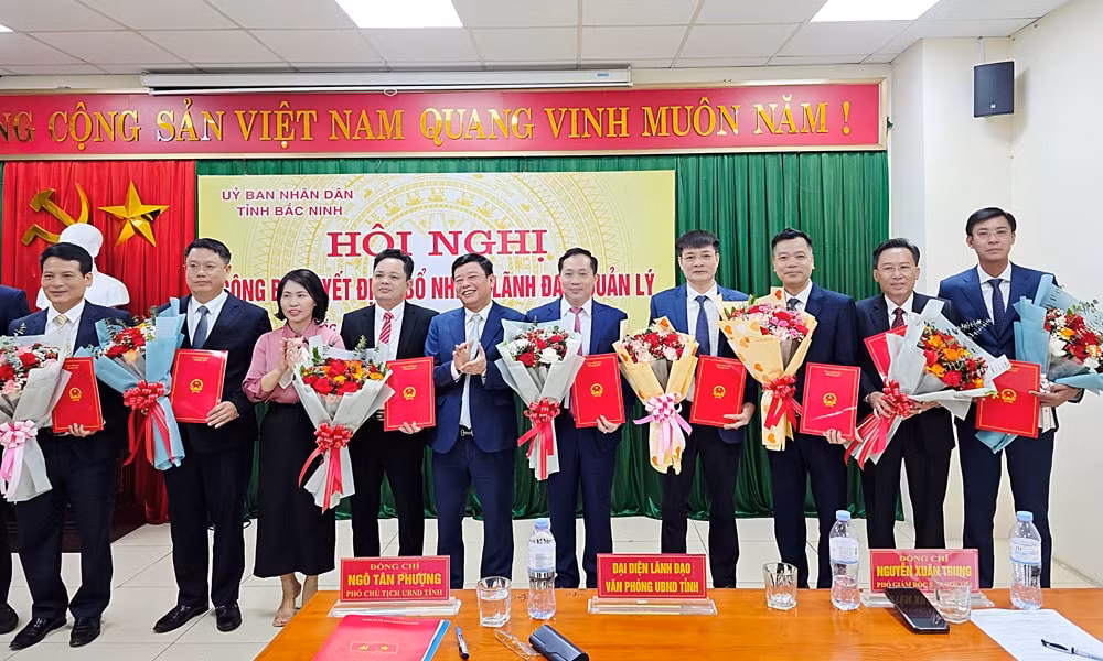 Bắc Ninh bổ nhiệm