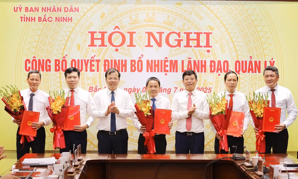 bổ nhiệm