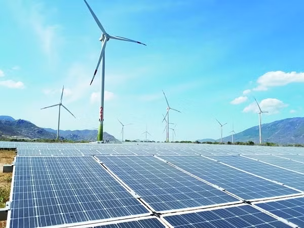 Tới giữa tháng 7/2020, cả nước có 11 nhà máy điện gió đang hoạt động với tổng công suất 429 MW. Ảnh minh họa