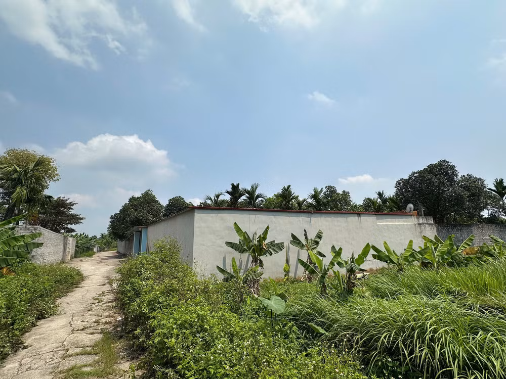 05.jpg