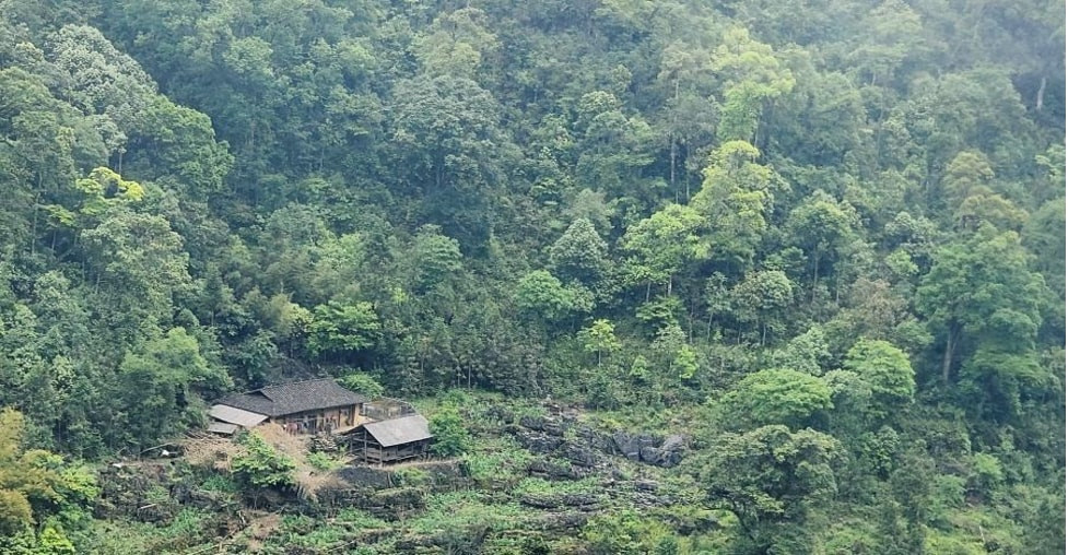 phim kinh di viet nam vuot mat hang loat series han quoc dinh dam hinh 6