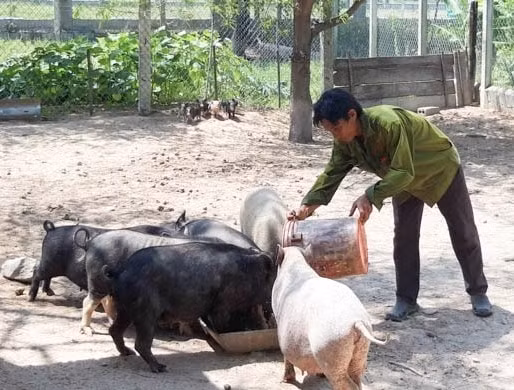 tap trung nguon luc ho tro dong bao dan toc thieu so phat trien san xuat hinh 1