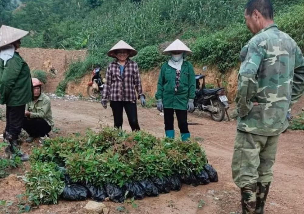 gan trach nhiem cua nguoi dung dau don vi voi no luc giai ngan von chuong trinh muc tieu quoc gia hinh 3