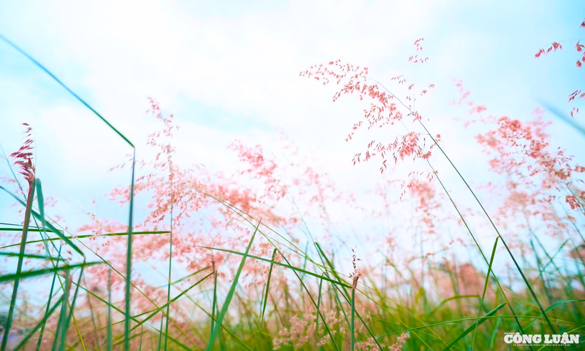 30863e89-4d37-4dd2-974d-69e014dbda56_1_201_a.jpeg