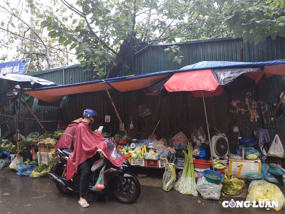 ha noi het canh vet sach cho hang hoa doi dao gia rau tang manh truoc gio bao do bo hinh 2