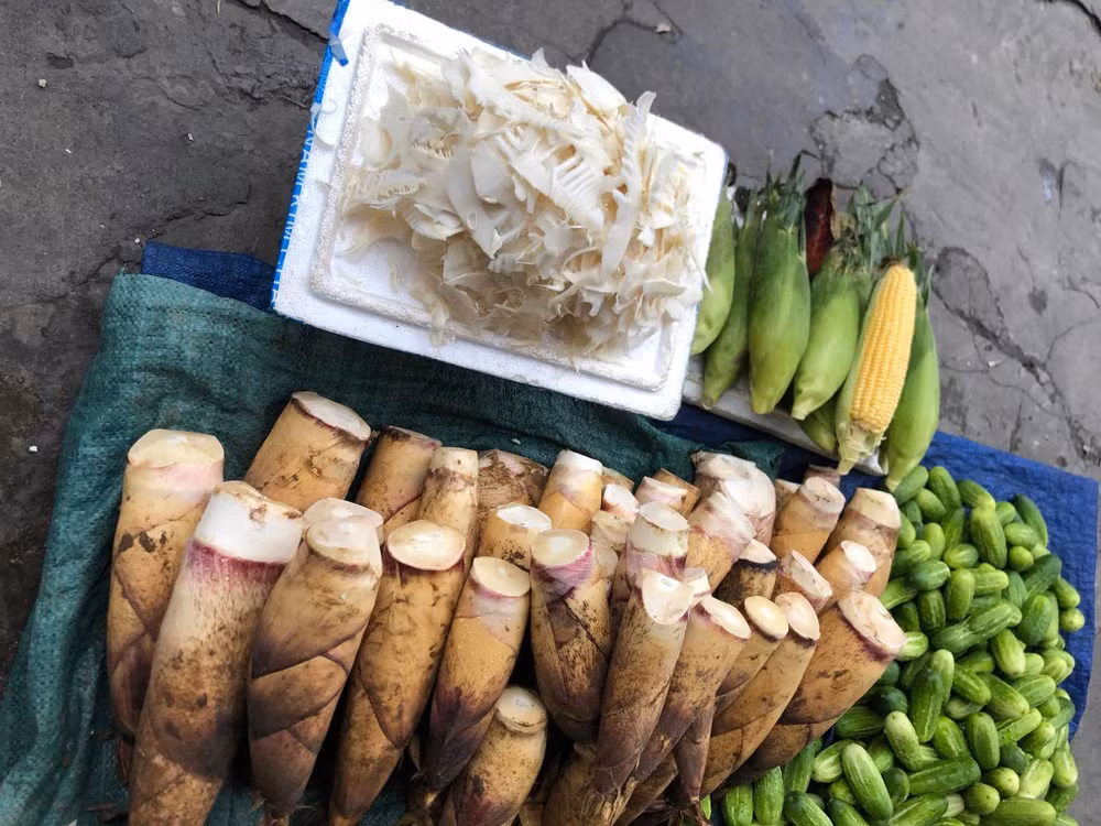 lao cai tu 1 3 cam khai thac tieu thu mang rung vung nui van ban hinh 1