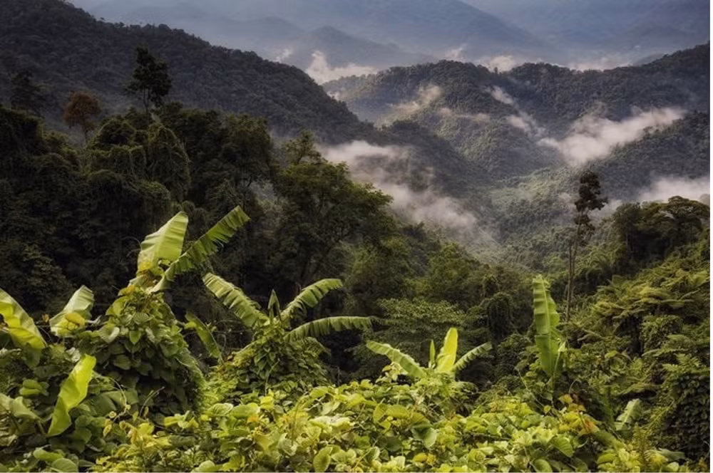 wwf khoi dong du an bao ton da dang sinh hoc tai mien trung hinh 2
