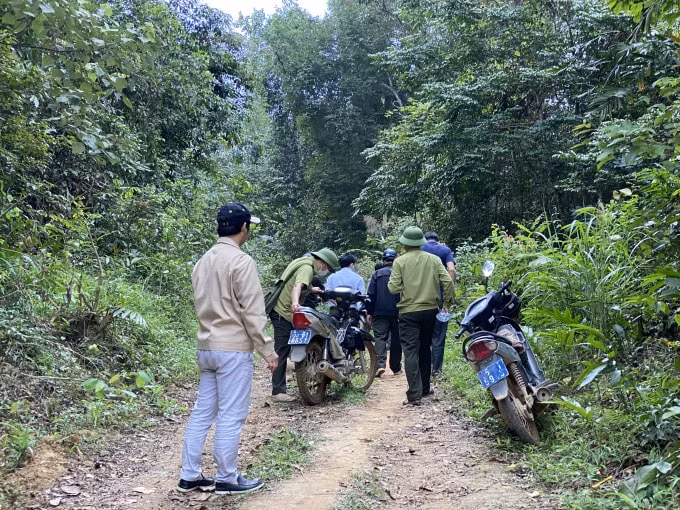 bat thuong trong kiem tra xu ly pha rung trai phap luat hinh 1