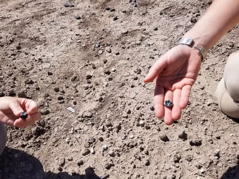 Archaeologists uncovered teeth from an ancient human ancestor in Ethiopia's Afar Region.