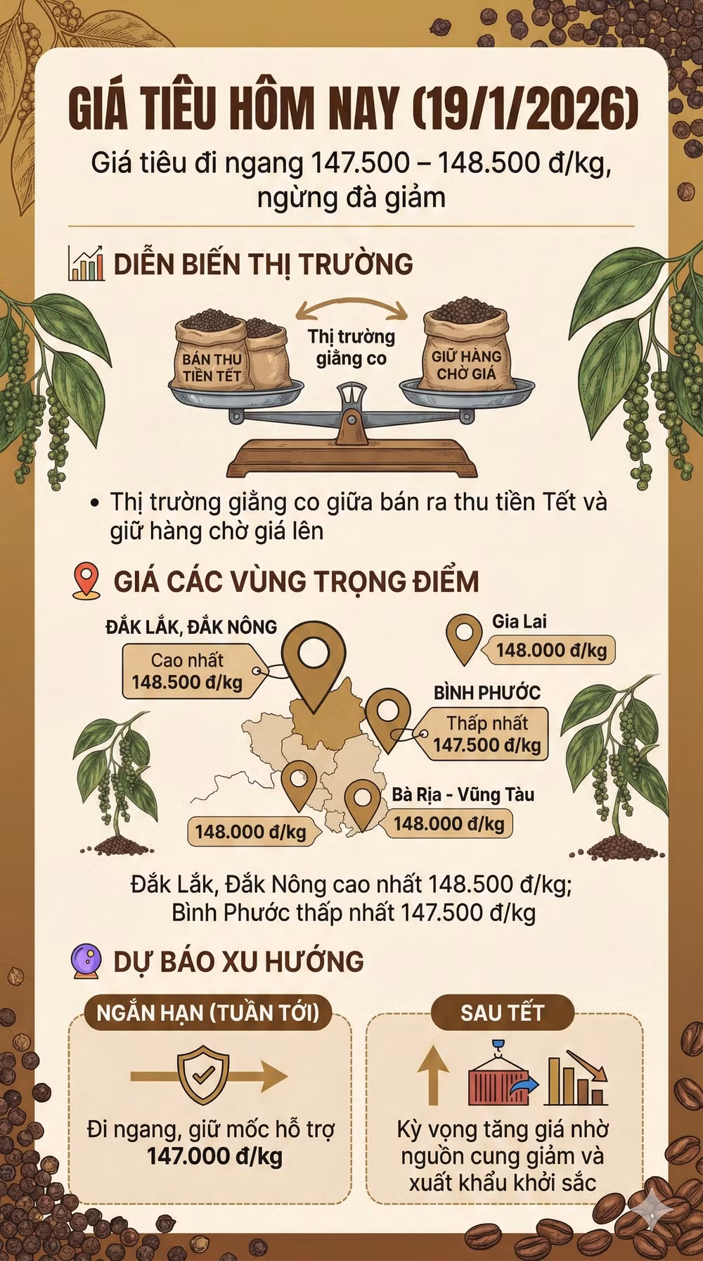 gia tieu 19-1