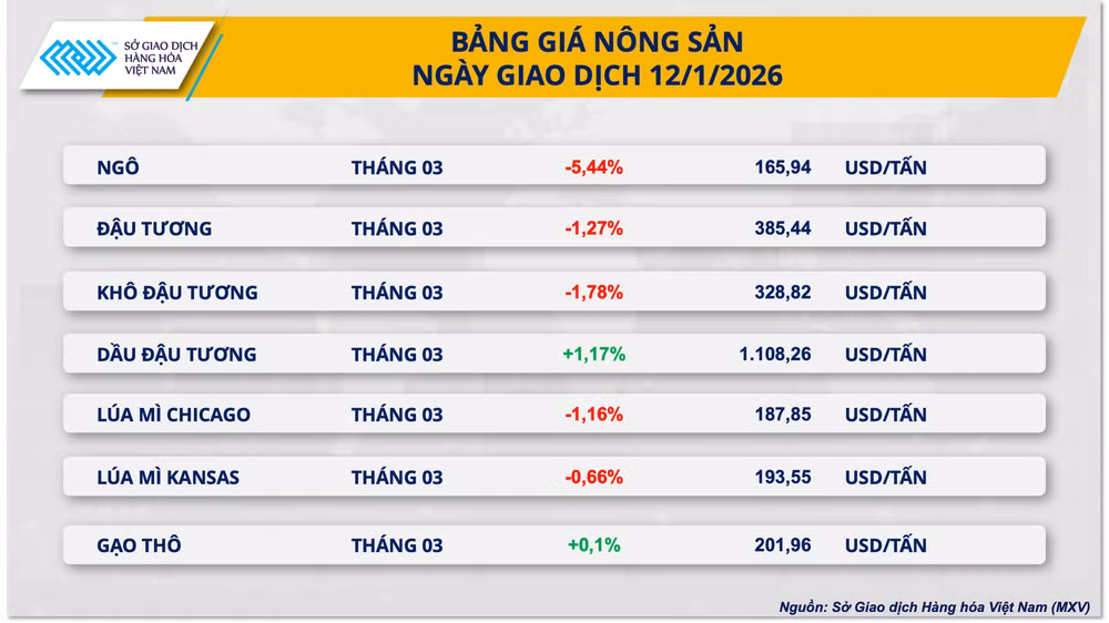 Biểu đồ giá ngô thế giới ghi nhận đà giảm mạnh