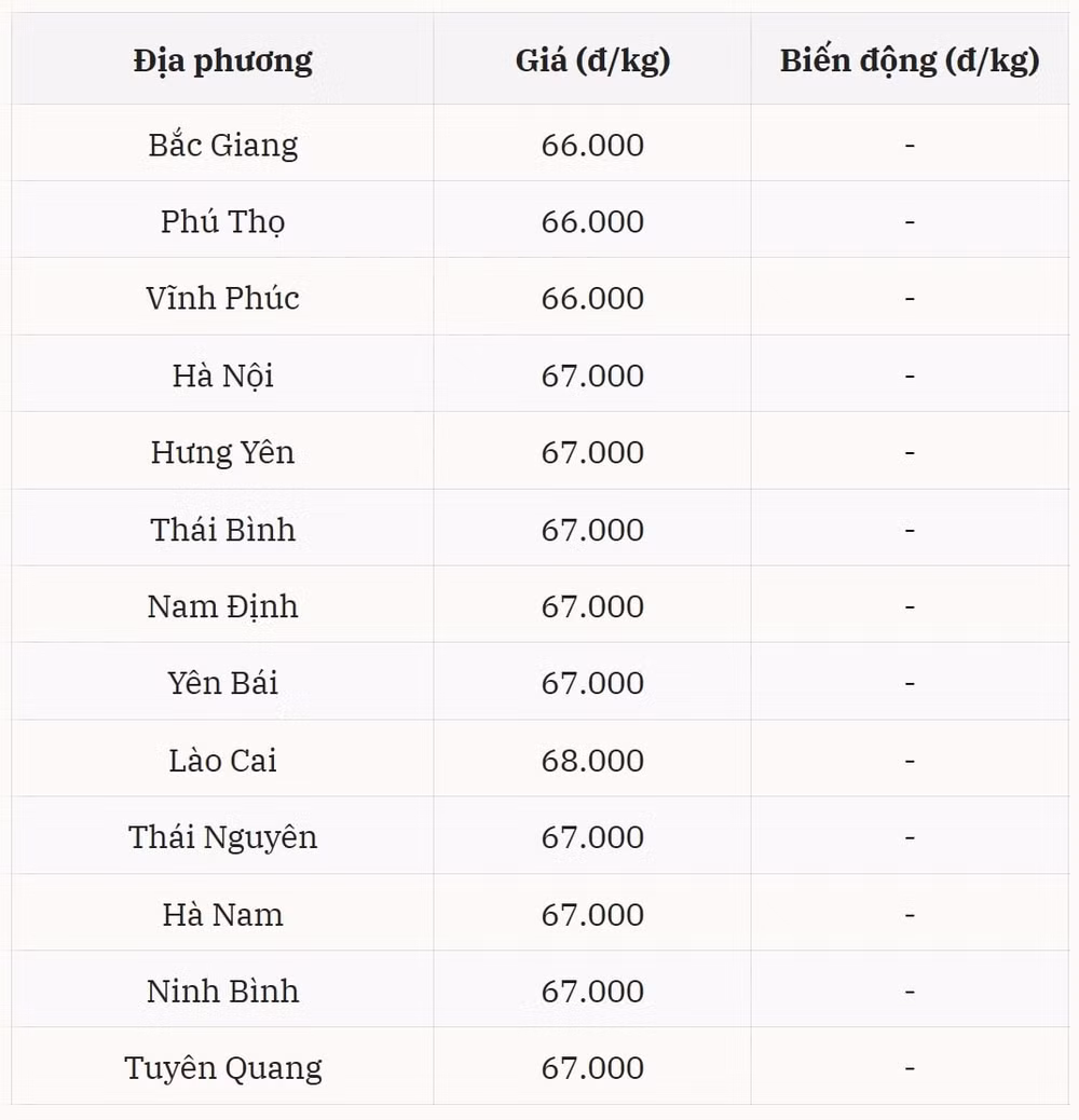 Giá heo hơi miền Bắc hiện dao động trong khoảng 66.000 – 68.000 đồng kg