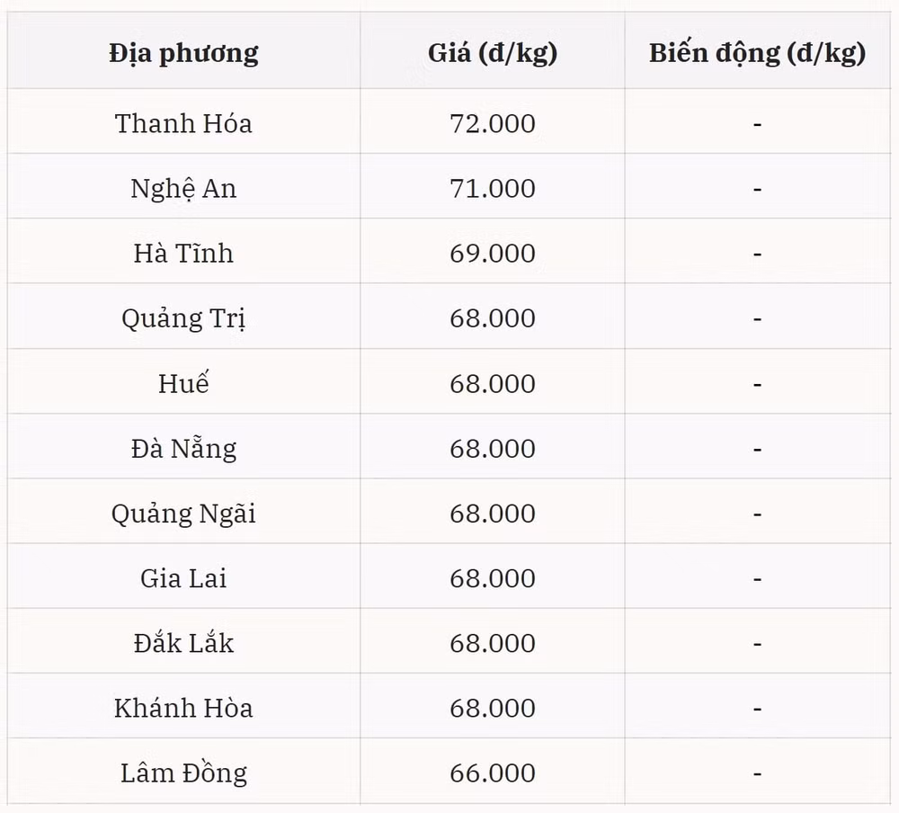 Khu vực miền Trung – Tây Nguyên tiếp tục giữ giá từ 66.000 – 72.000 đồng kg