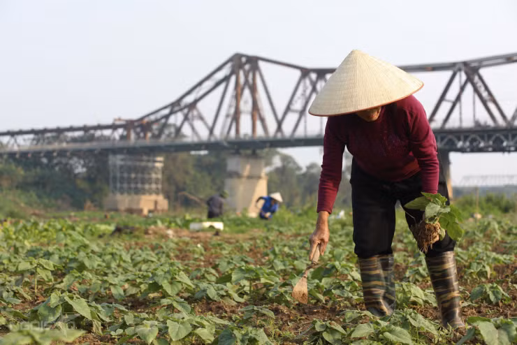 Bà Ngát, người có công lớn trong việc cải tạo bến hoa