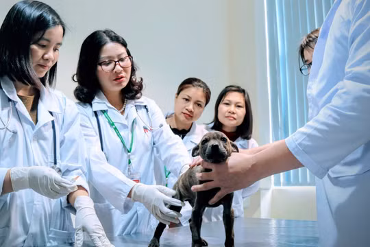 Sư phạm Công nghệ dẫn đầu điểm chuẩn Học viện Nông nghiệp Việt Nam