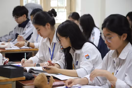 Không cần là thủ khoa vẫn có thể nhận học bổng Chính phủ