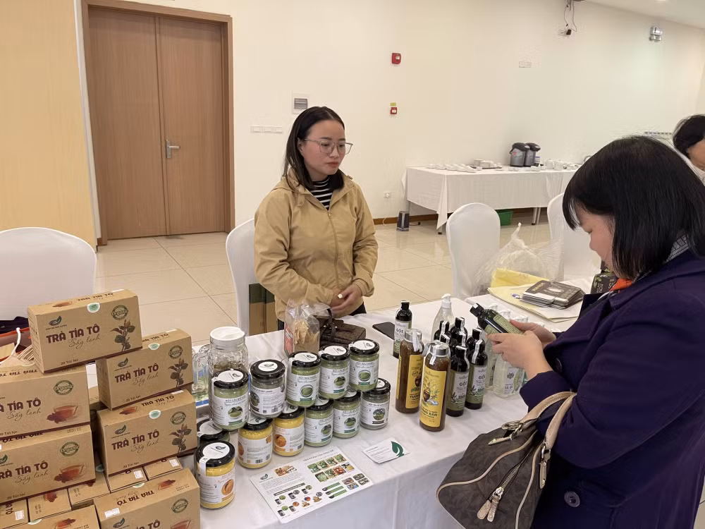 cho doi cac ho tro manh tay de quang ba cac san pham made in viet nam hinh 1