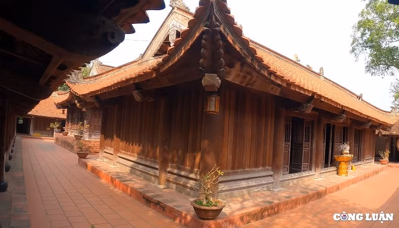 doc dao ngoi co tu gan 2000 nam tuoi noi ngoai thanh thu do ha noi hinh 3