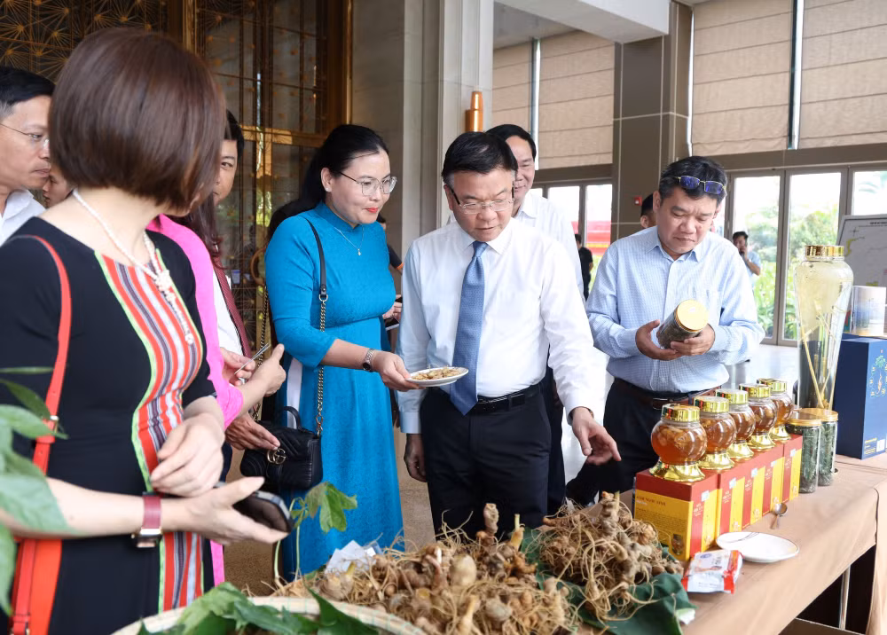 pttg-nghe-gioi-thieu-ve-cac-san-pham-tu-sam-ngoc-linh-1-1746858228997244672577.jpg