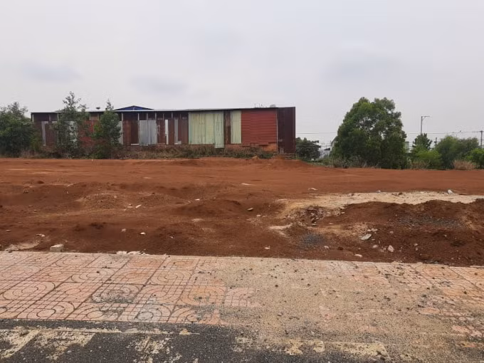 tinh gia lai chi dao kiem tra vu dau gia dat cao ngat nguong tai tppleiku hinh 3