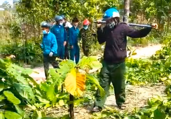 tong cuc lam nghiep vao cuoc vu nhan vien bao ve rung bi hanh hung o gia lai hinh 1