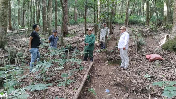 co gi tai phien cho sam ngoc linh dau tien o kon tum hinh 1