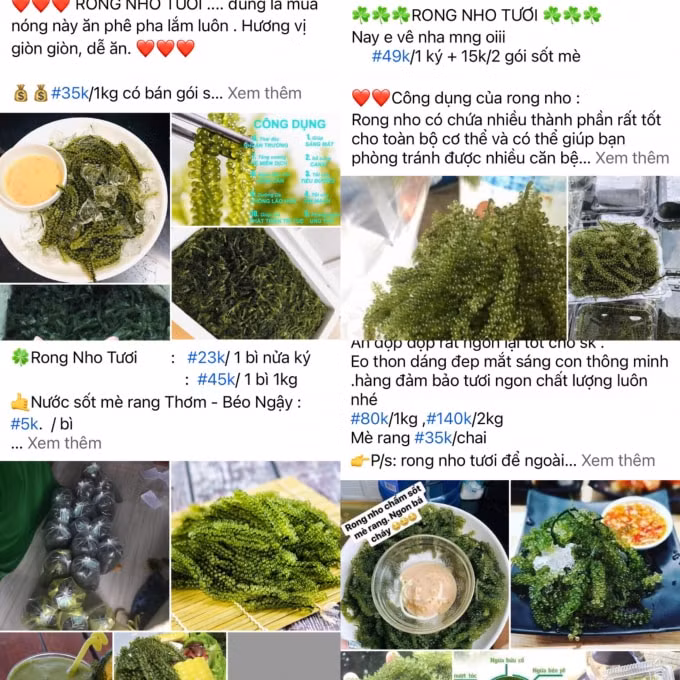 trung ca hoi xanh vao mua gia re tran cho mang hinh 1