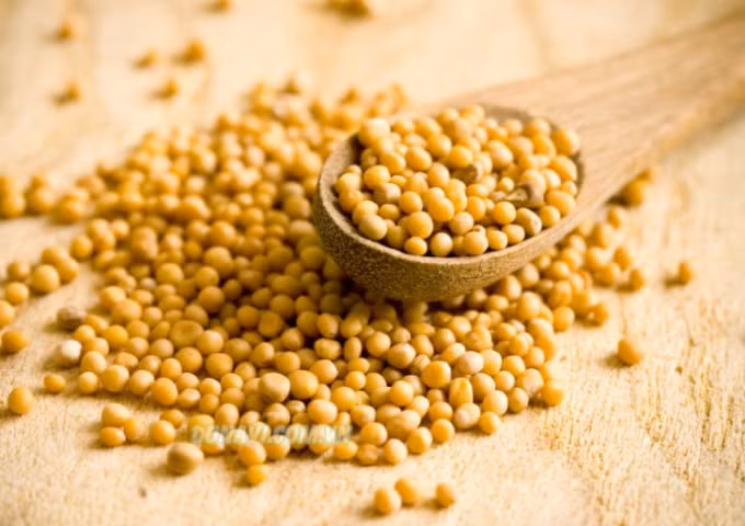 10 loai thuc pham giau omega 3 hinh 6