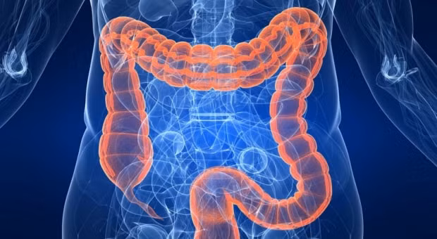 nhung loi ich cua detox rua dai trang bang nuoc hinh 2