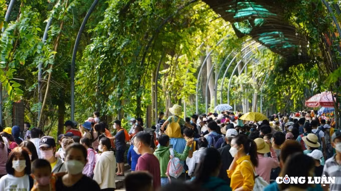 nguoi dan chen nhau dua con em tham quan thao cam vien dip le gio to hinh 6