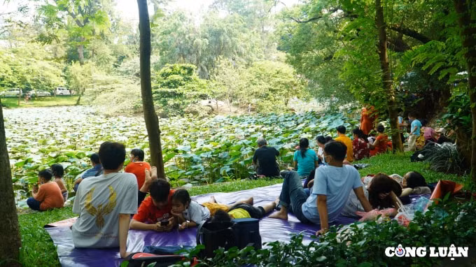 nguoi dan chen nhau dua con em tham quan thao cam vien dip le gio to hinh 5