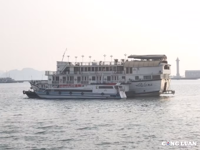 khoi phuc tat ca cac hoat dong du lich quang ninh du kien thu hut 10 trieu luot khach hinh 2