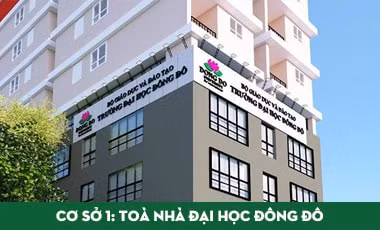 kien nghi sua luat giao duc dai hoc de triet tieu co che xin cho hinh 1