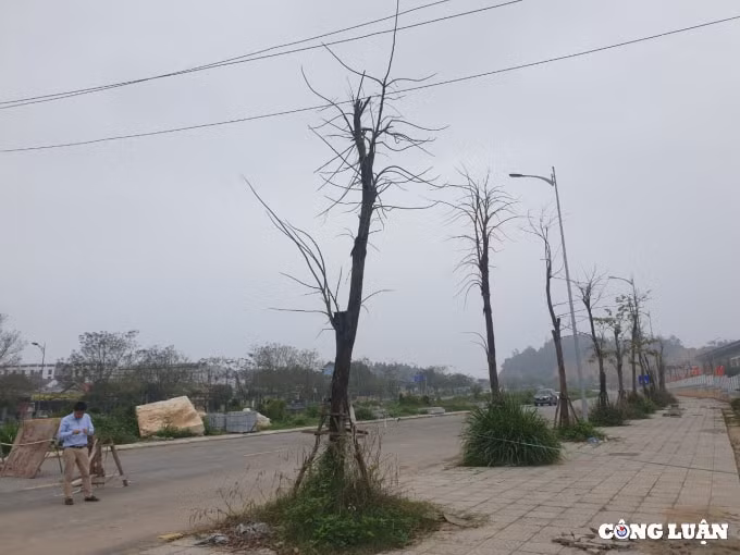 dau hieu rut ruot cong trinh tai du an duong va cach lam viec kho hieu cua chu dau tu hinh 1