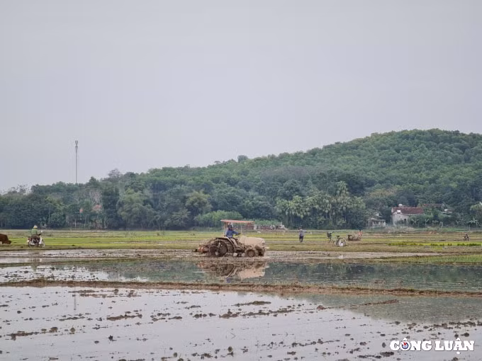 ba con nong dan xuong dong gieo cay vu xuan hinh 4