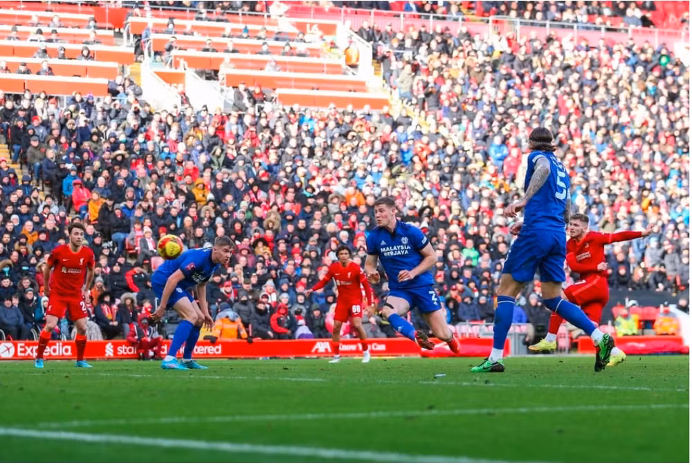 liverpool thang thuyet phuc cardiff city de vao vong 5 fa cup hinh 8