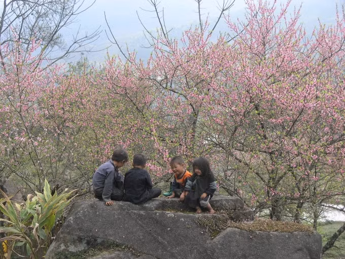 len tay bac ngam dao phai khoe sac dau xuan hinh 5