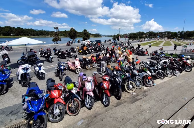 trung tam da lat nhon nhip du khach trong ngay mung 3 tet nham dan hinh 2