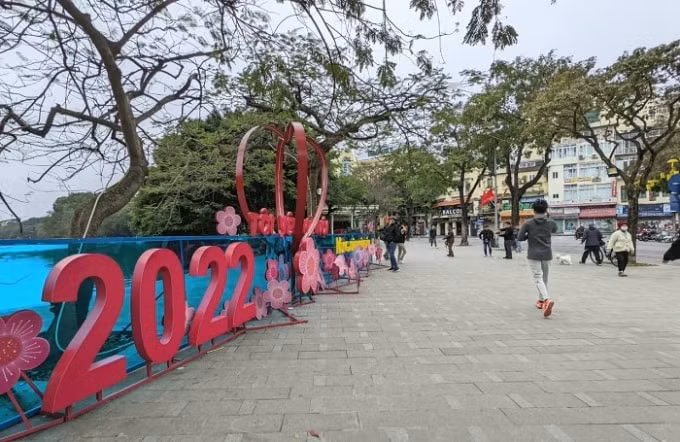 ha noi ruc ro co hoa mung dang mung xuan moi nham dan 2022 hinh 8