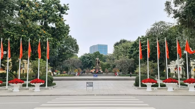 ha noi ruc ro co hoa mung dang mung xuan moi nham dan 2022 hinh 2
